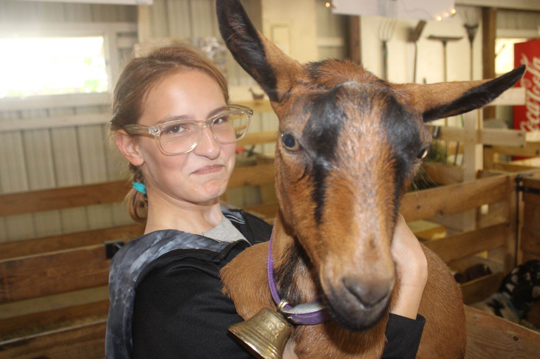 Three-legged fair candidate steals the show
